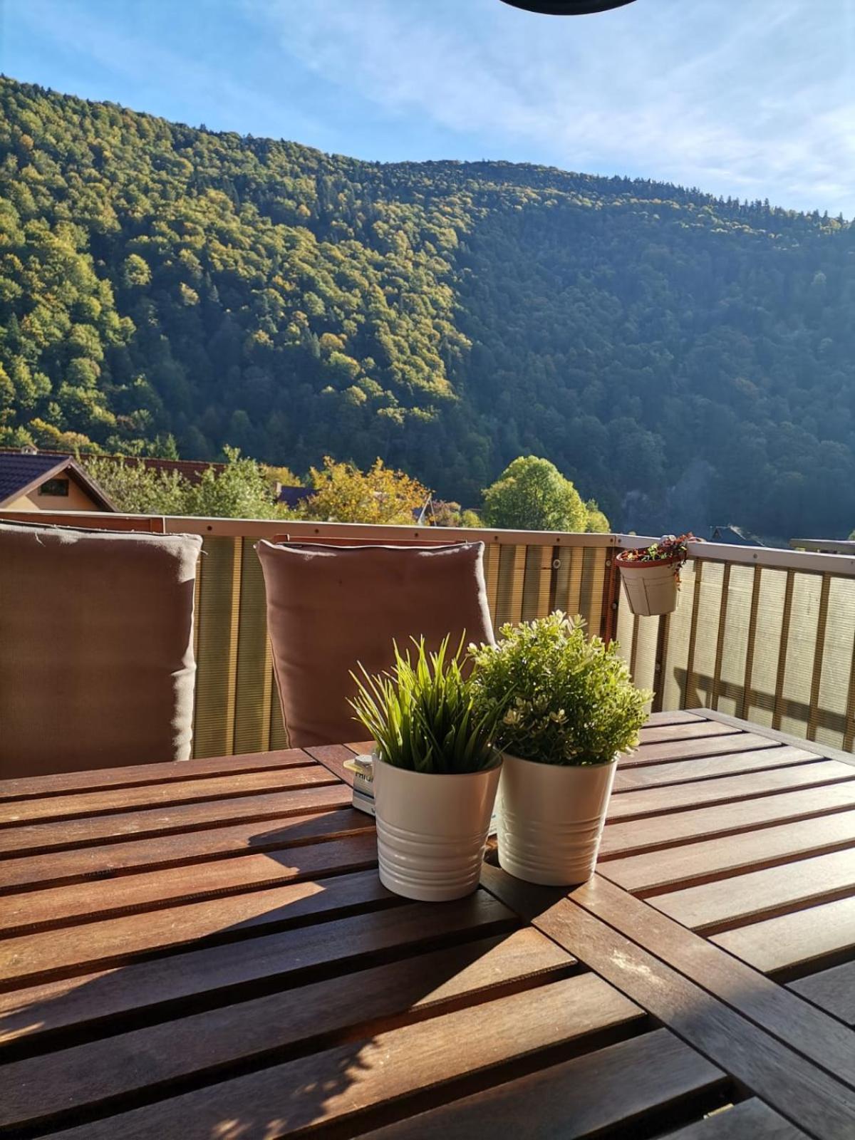 Miro Apartament Синая Экстерьер фото