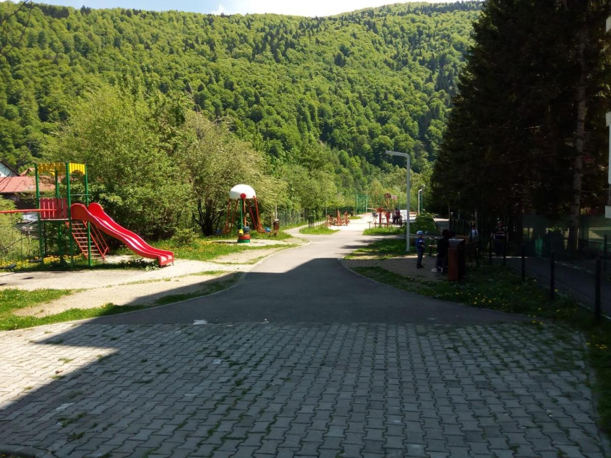 Miro Apartament Синая Экстерьер фото